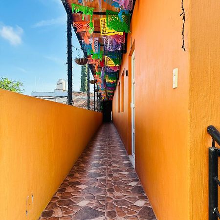 Apartament Departamento Maria Concepcion Tequila Zewnętrze zdjęcie
